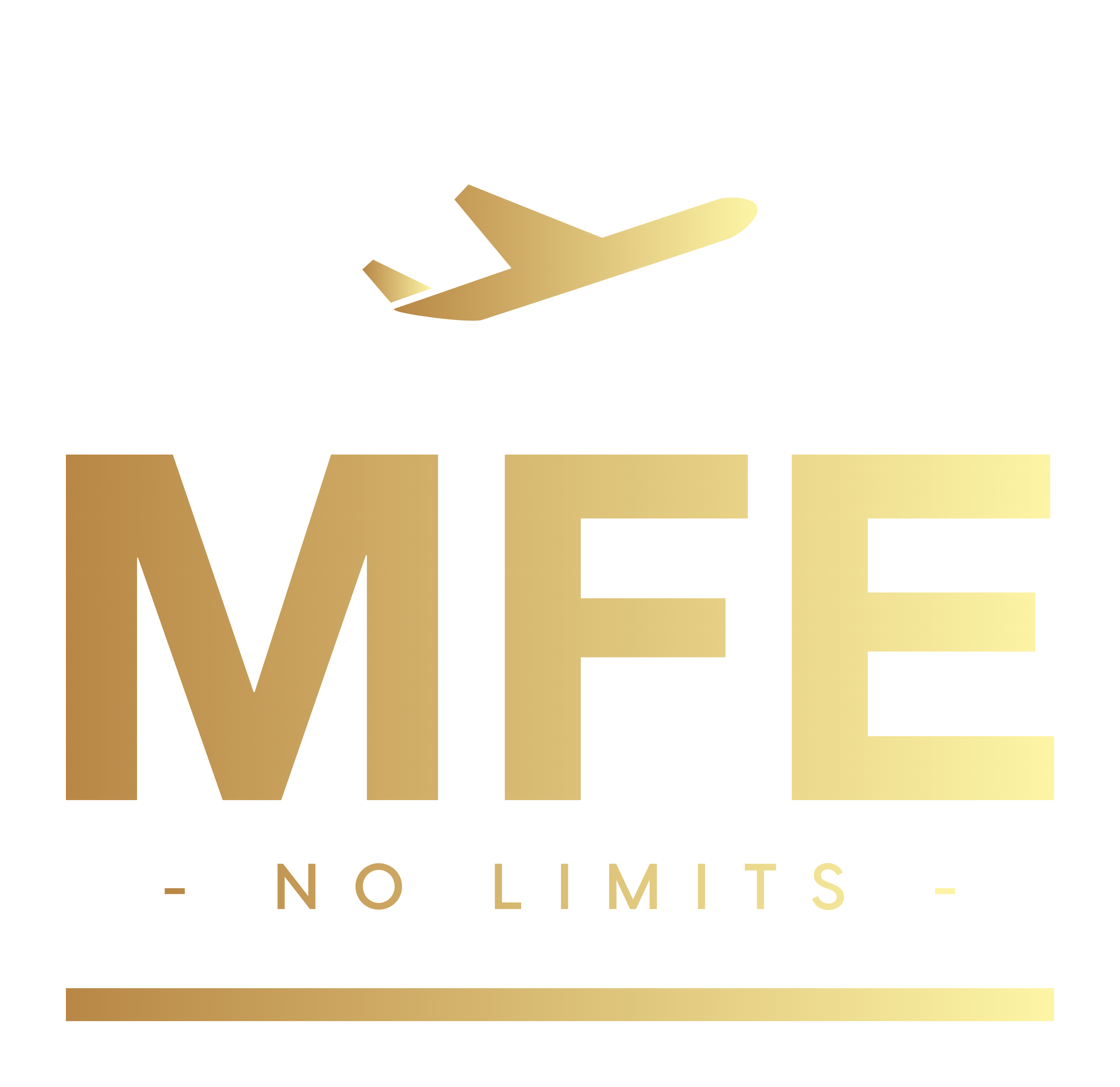 MFE logo